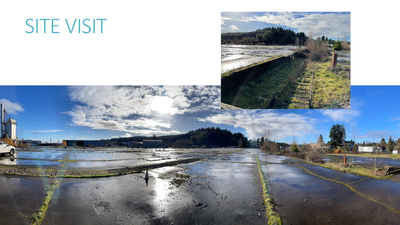 Site Visit