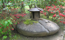 Japanese Garden